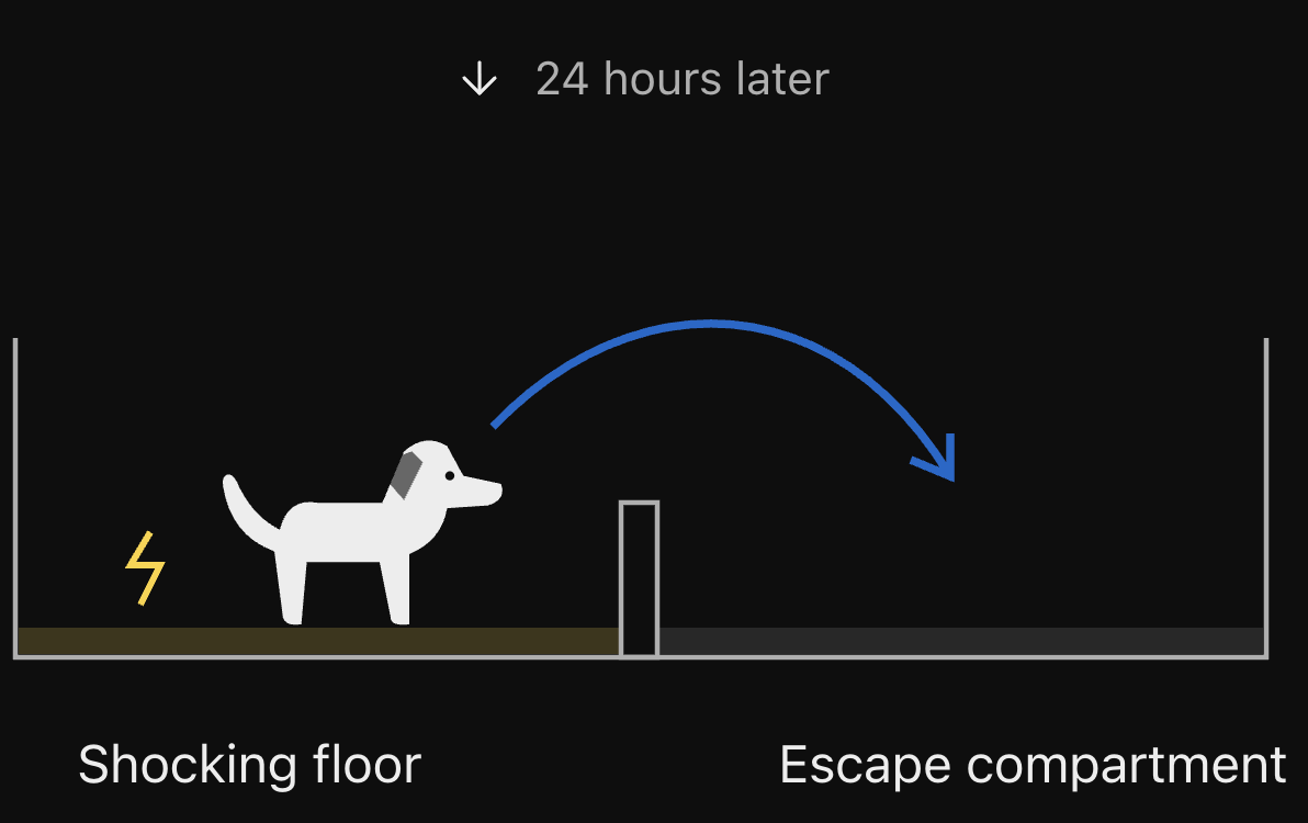 Diagram of a dog able to cross a low barrier from an electrified floor into an escape compartment 24 hours later.