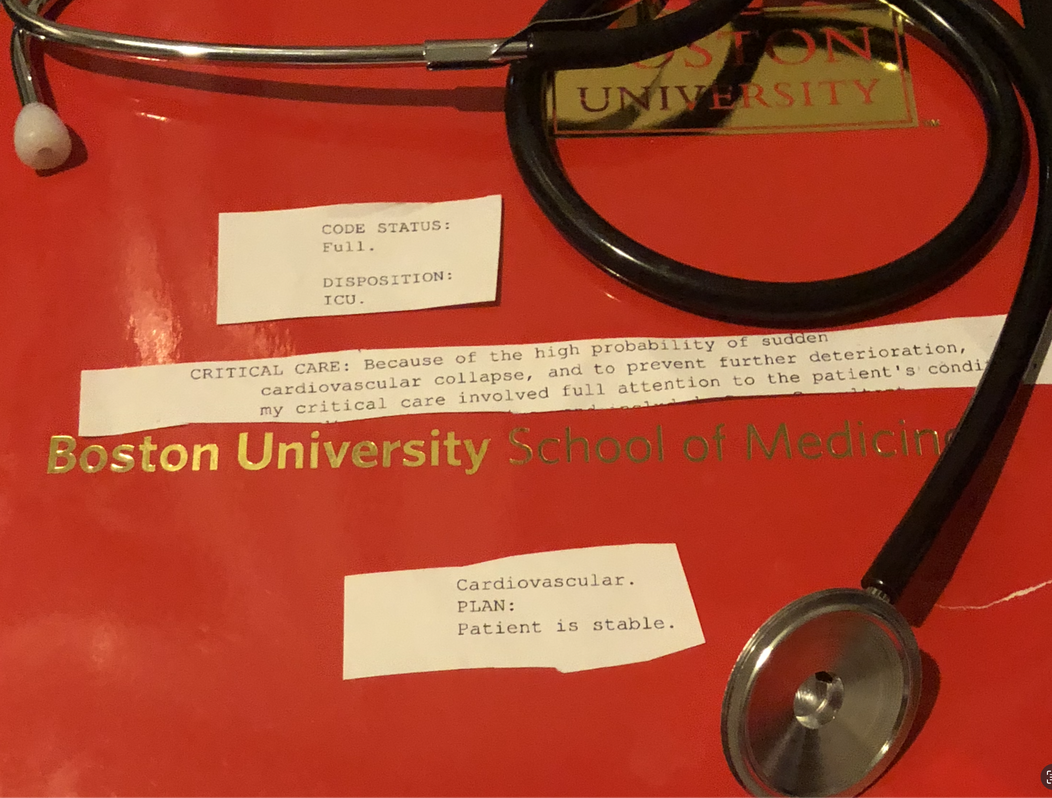 Red medical teaching display with a stethoscope and patient-status labels.